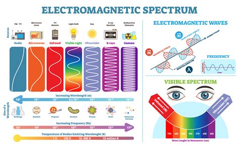 Are humans electromagnets?