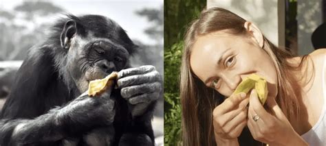 Are humans really omnivores?