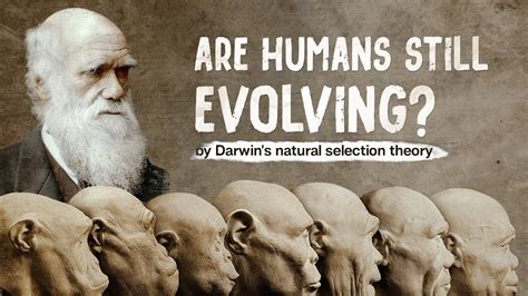 Are humans still evolving?