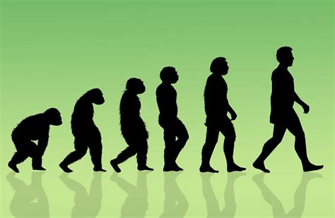 Are humans still evolving physically?