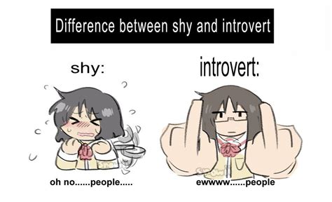 Are introverts shy in bed?
