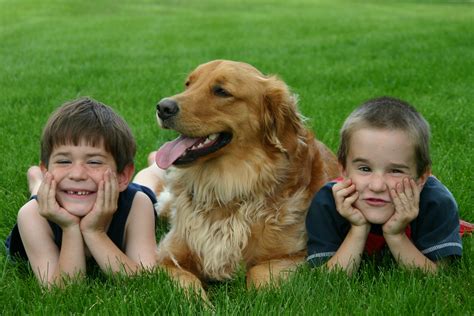 Are kids happier when they have a dog?