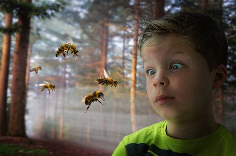Are kids scared of bees?