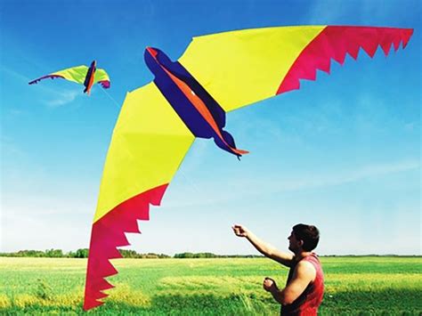 Are kites fun for adults?
