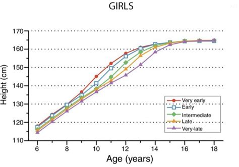 Are late bloomers taller than early bloomers?