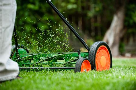 Are lawn mowers sustainable?
