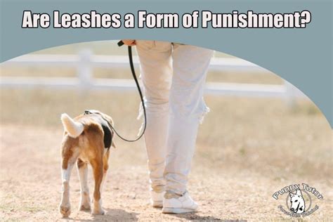 Are leash corrections cruel?