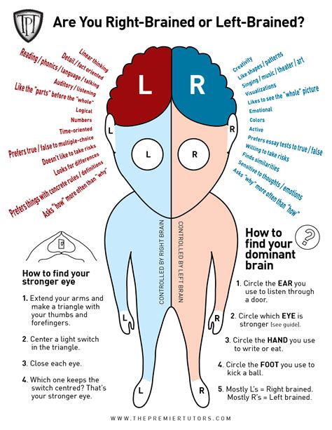 Are left handed people right brained?