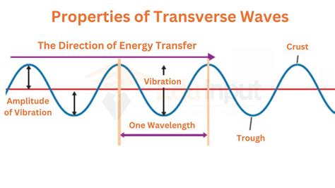 Are light waves transverse?