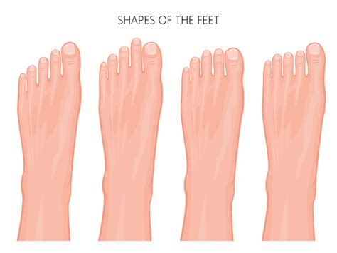 Are long or short toes better?