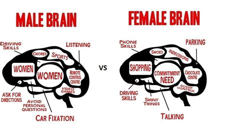 Are male brains bigger than female?