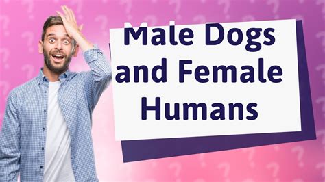 Are male dogs attracted to female humans?