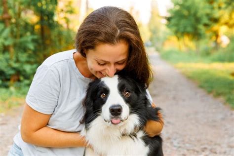 Are male or female dogs more loyal?