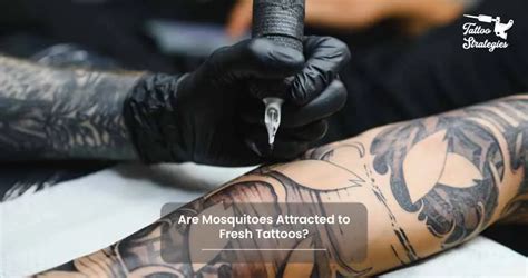 Are mosquitoes attracted to tattoos?