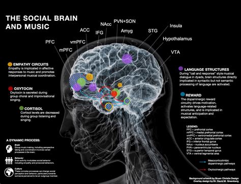 Are musicians brains bigger?