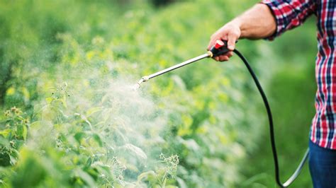 Are natural insecticides harmful?