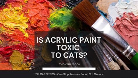 Are oil paints toxic to cats?