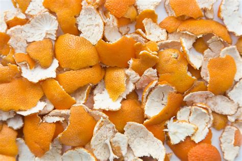 Are orange peel good for plants?