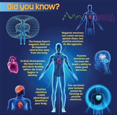 Are our bodies electromagnetic?