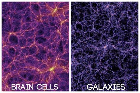 Are our brains the universe?