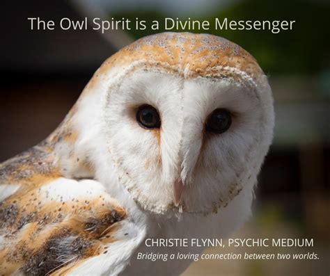 Are owls spiritual messengers?