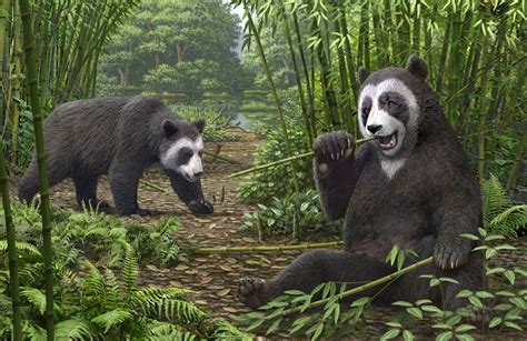Are pandas extinct?