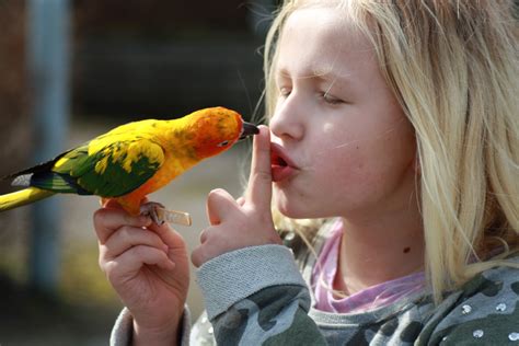 Are parrots happy when they talk?