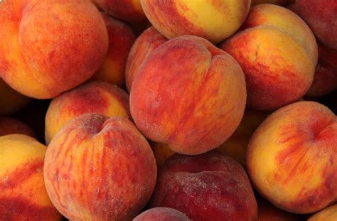 Are peaches always fuzzy?