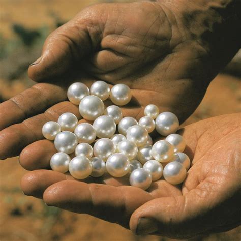 Are pearls becoming rare?