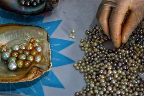 Are pearls vegan?