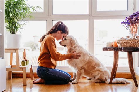 Are people happier with dogs?