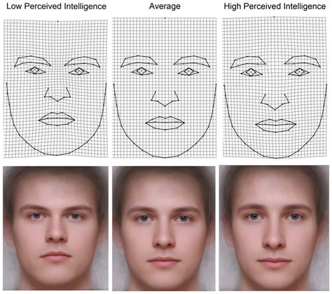 Are people with big eyes intelligent?