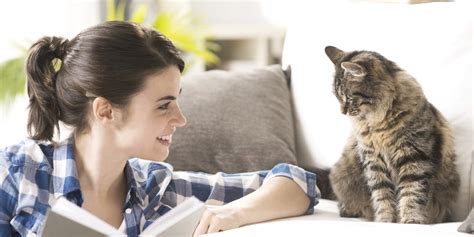 Are people with cats happier?