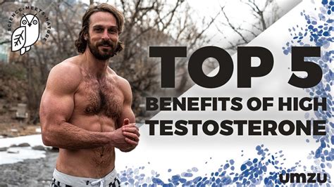 Are people with high testosterone strong?