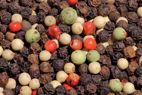 Are peppercorns actually peppers?