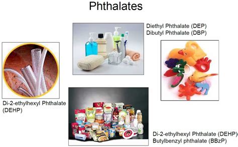 Are phthalates in silicone?