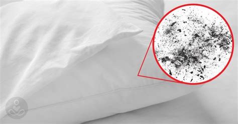 Are pillows full of dust mites?