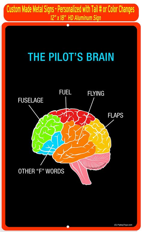 Are pilots brains different?