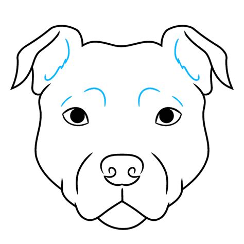 Are pit bulls easy?