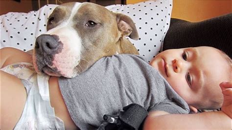 Are pit bulls good with kids?