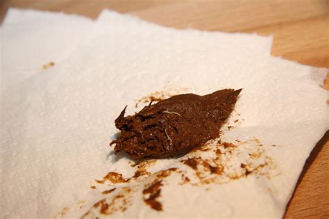 Are poop worms harmful?