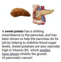 Are potatoes OK for pancreas?