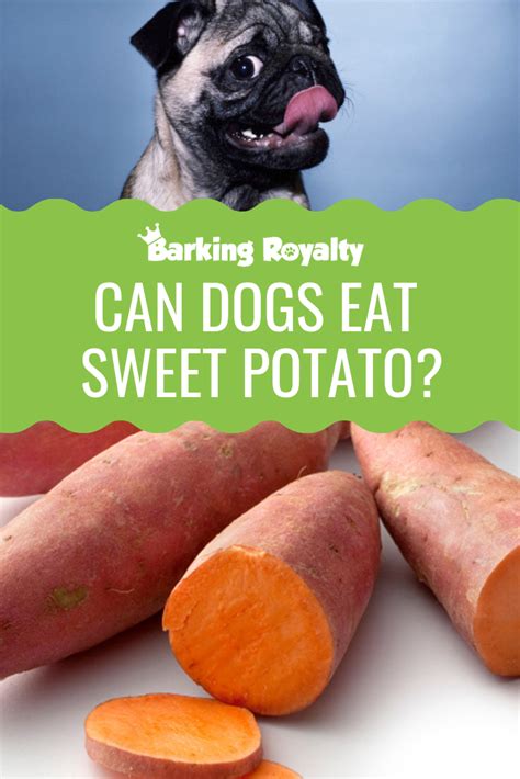 Are potatoes good for dogs?