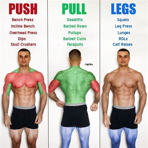 Are push muscles weaker than pull?