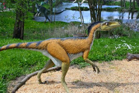 Are raptors the smartest dinosaur?
