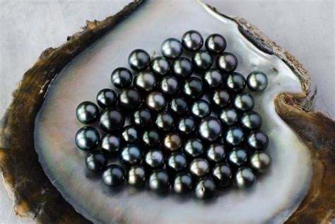 Are real pearls worth buying?