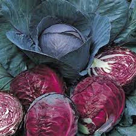 Are red cabbages natural?