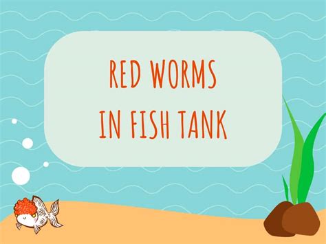 Are red worms good for fish?