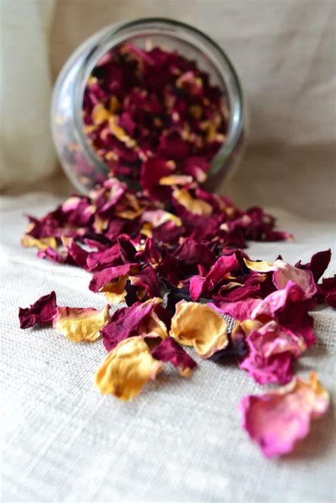 Are rose petals healthy to eat?