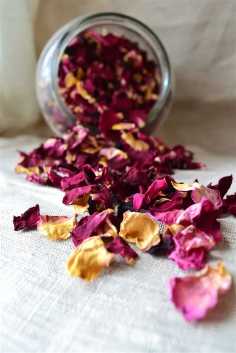 Are rose petals safe to eat?